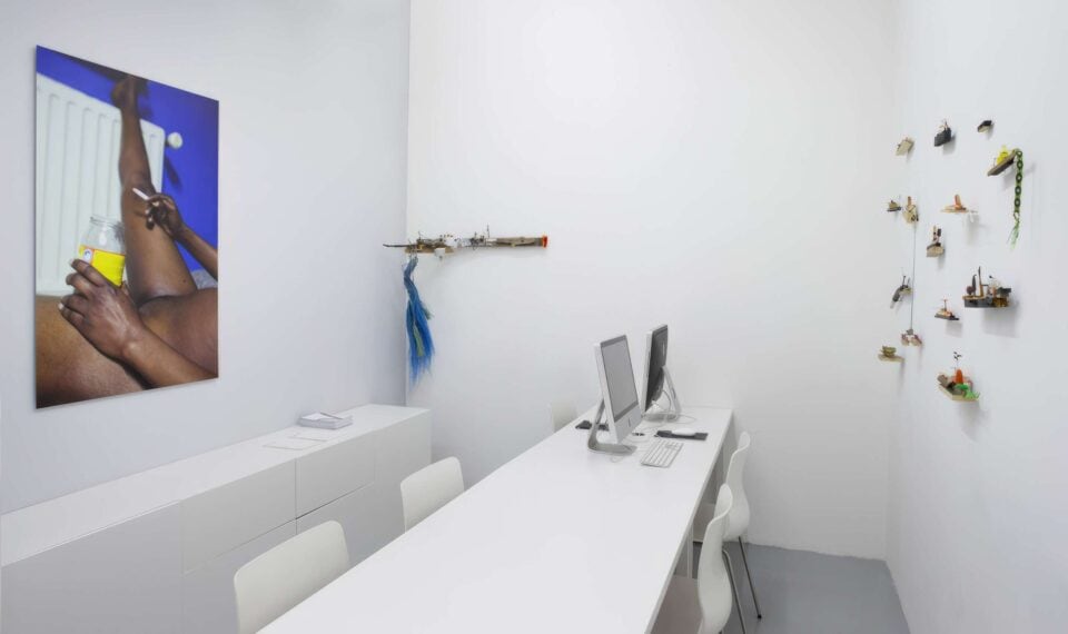 Galerie Olivier Robert Paris France 2014 Installation View Photo Bart Van Leuven